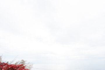 TEST-0005