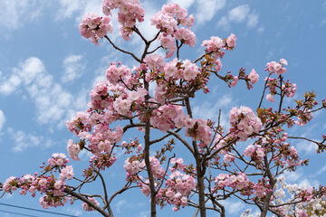 TEST-0006
