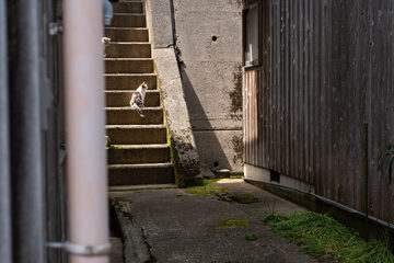 oistock_000007
