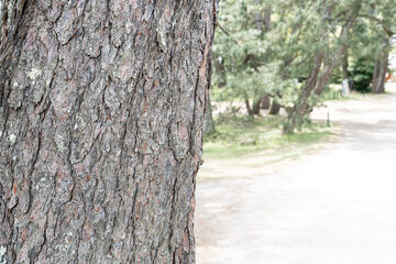 oistock_000029