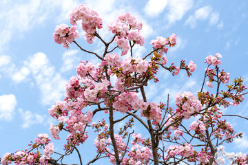 oistock_000035