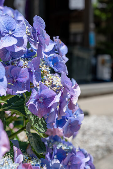 oistock_000056