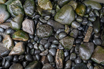 oistock_000069