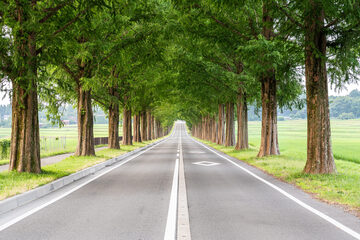 oistock_000077