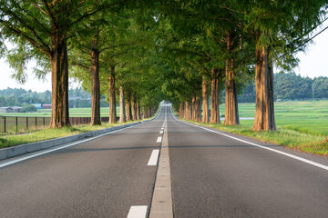 oistock_000079