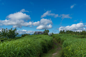 oistock_000086