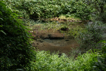 oistock_000090