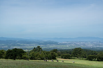oistock_000102