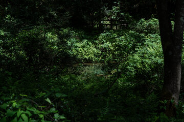 oistock_000108
